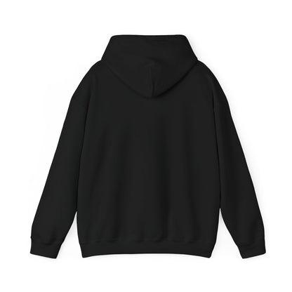 Sassy and aesthetic Hoodie