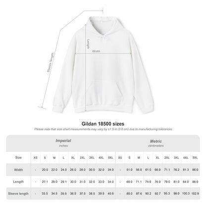 Sassy and aesthetic Hoodie